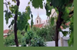 Looking from the garden towards the church